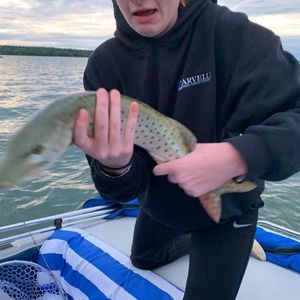 Meet your Posher, Lexi